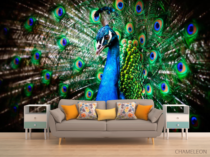 Фотообои Красавец павлин - 1