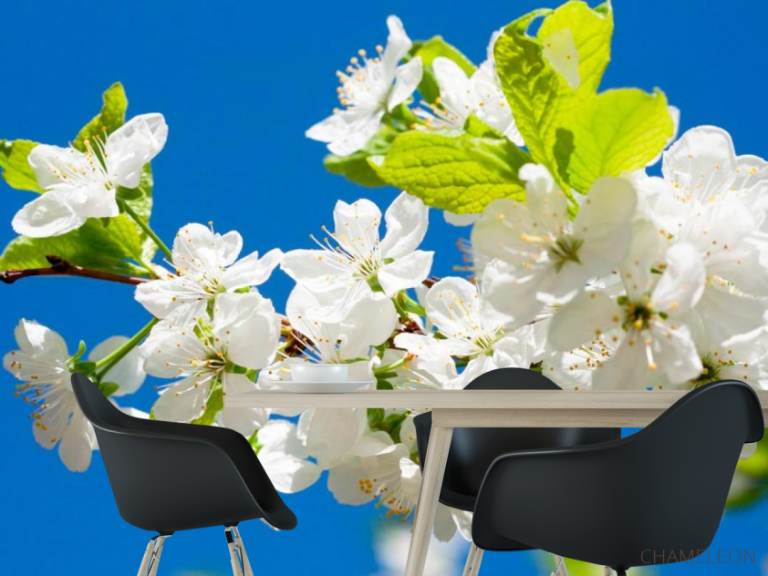 Фотошпалери Квіти на фоні неба - 1