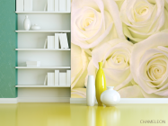 Фотошпалери Троянди білосніжного відтінку - 3