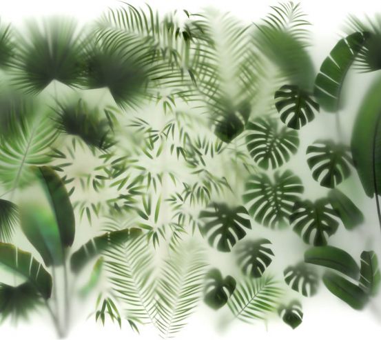 Фотообои Тропические листья за стеклом 27571