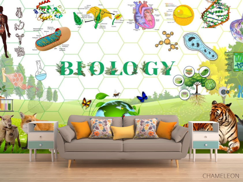 Фотообои Для кабинета биологии - 1