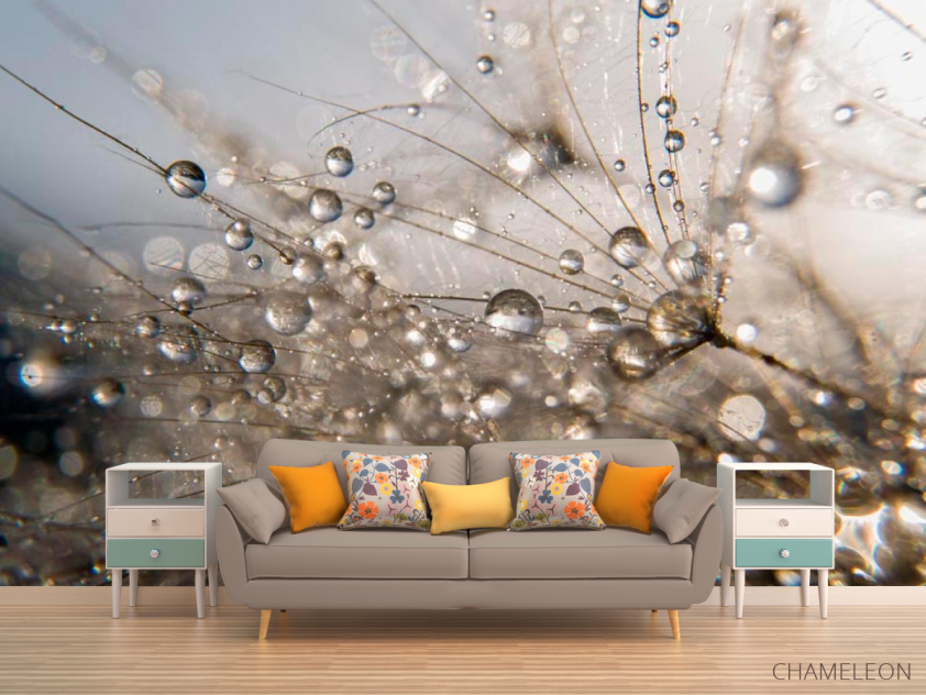 Фотообои Роса - 1