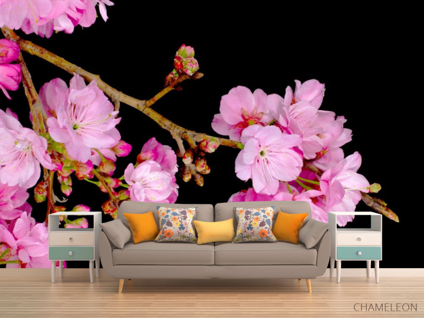 Фотообои Соцветия персика - 1