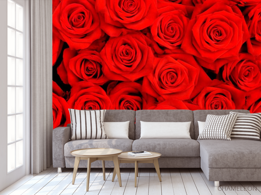 Фотообои Розы ярко-алые - 3