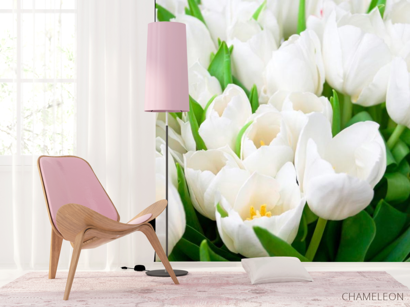 Фотошпалери Тюльпани білосніжні - 4