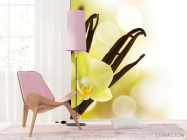 Фотошпалери Ваніль - 4