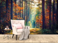 Фотообои сентябрьский лес - 4