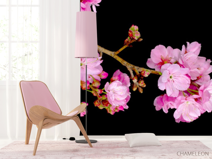 Фотошпалери Суцвіття персика - 4