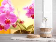 Фотошпалери рожеві орхідеї на жовтому фоні - 2