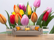 Фотообои тюльпаны разных цветов - 1
