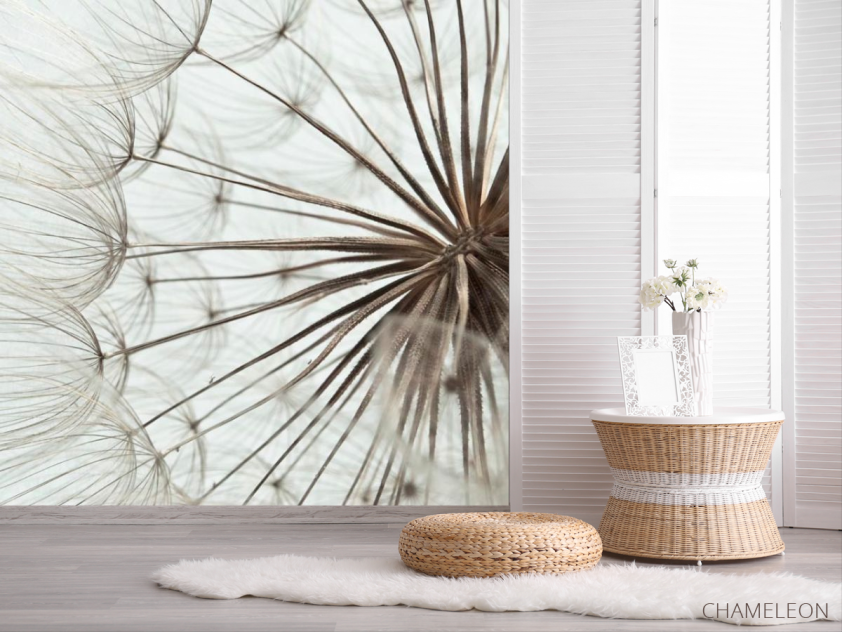 Фотошпалери Кульбаби крупний план - 2