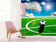 Фотообои Мяч на поле - 4