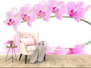 Фотообои Отражение орхидей - 4