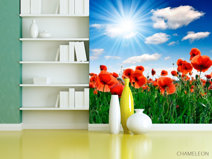 Фотообои Маки под палящим солнцем - 3