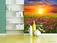 Фотошпалери Польові квіти, захід - 3