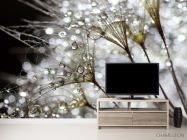 Фотообои белый одуванчик с росой - 2