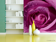 Фотошпалери Троянда - 3