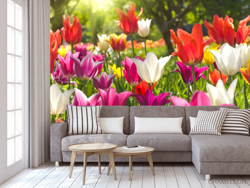 Фотообои Остроконечные тюльпаны - 3