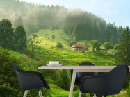 Фотошпалери особняк в лісі - 1