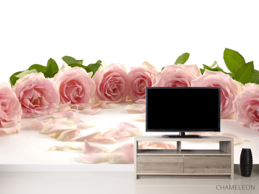 Фотообои розовые розы по кругу - 2