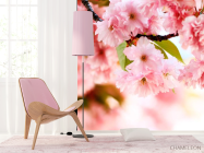 Фотошпалери Гілка ніжно-рожевих квітів - 4