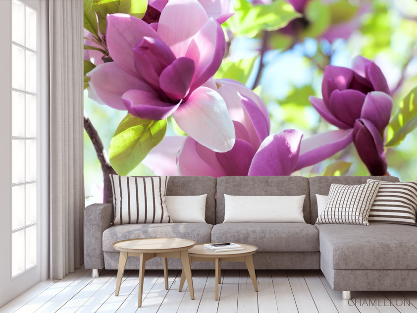 Фотообои бело-фиолетовые цветы на дереве - 3