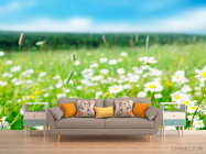 Фотообои Степные белоснежные ромашки - 1