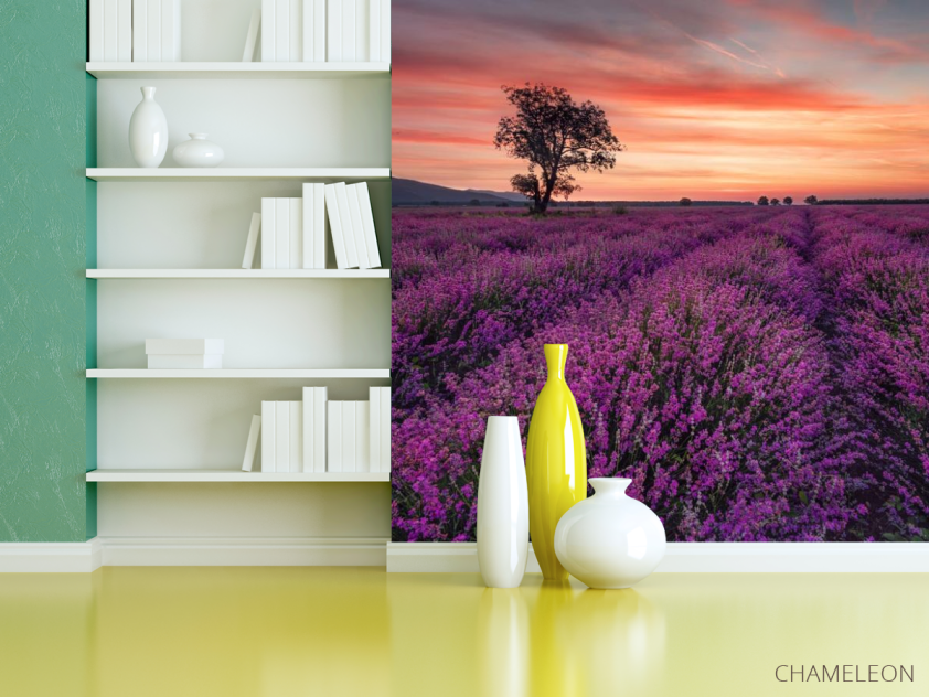 Фотошпалери бузкове поле і рожевий захід - 3