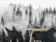 Фотошпалери туманні ялини - 1