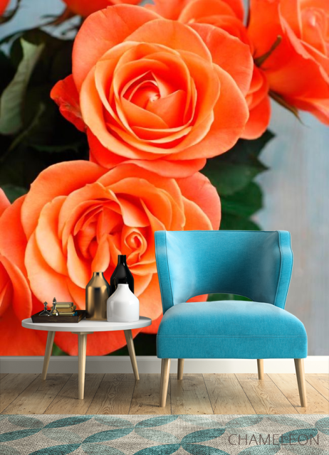 Фотообои Розы цвета кораллов - 4