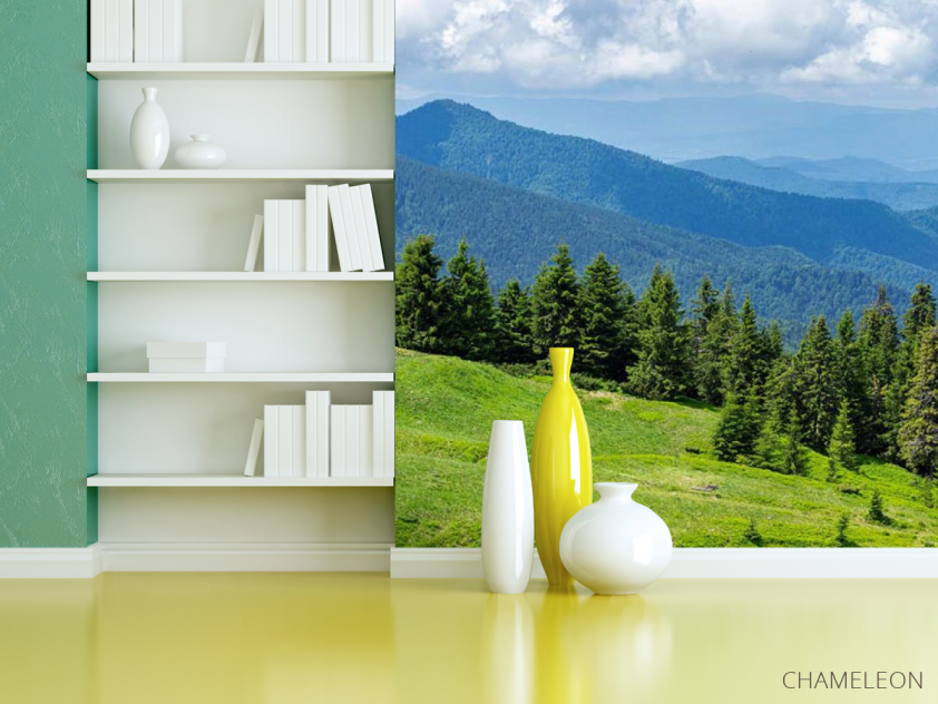 Фотошпалери Гірський пейзаж - 3