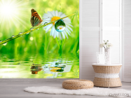 Фотошпалери Метелик над водою - 2