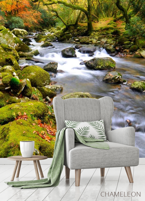 Фотообои Камни, мох - 3