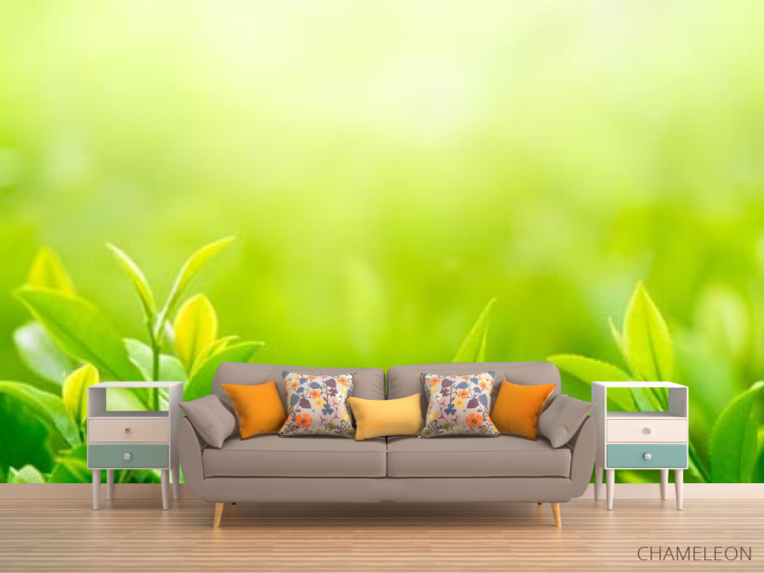 Фотообои зеленые росточки - 1