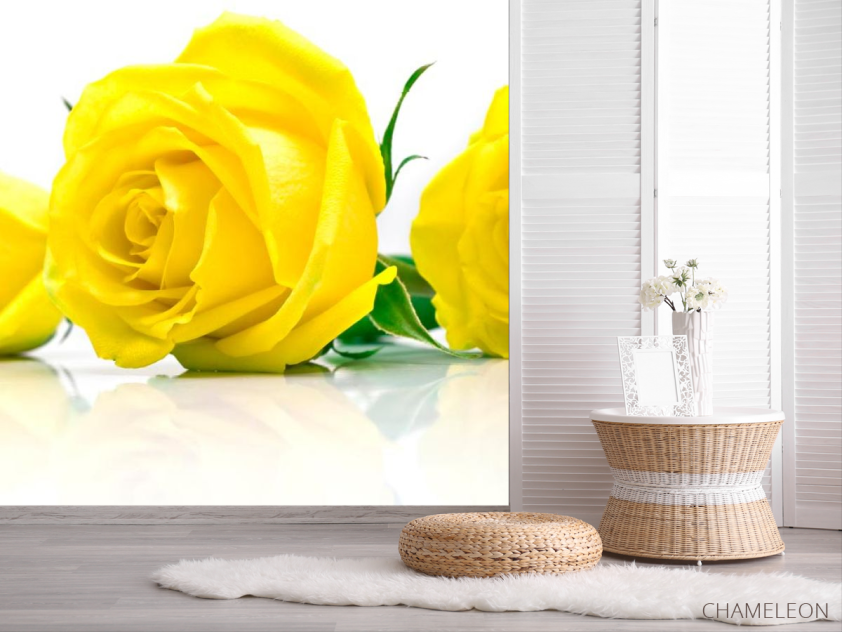 Фотошпалери Троянди жовті - 2