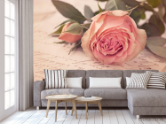 Фотообои Розы кремовые, бумага - 3