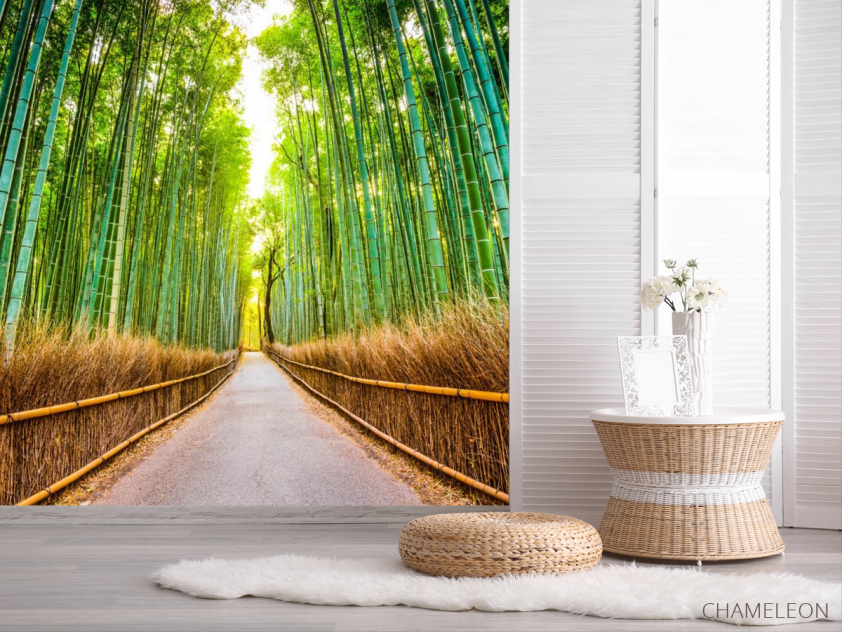 Фотошпалери Бамбуковий гай - 2