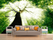 Фотообои Дерево, свет - 1