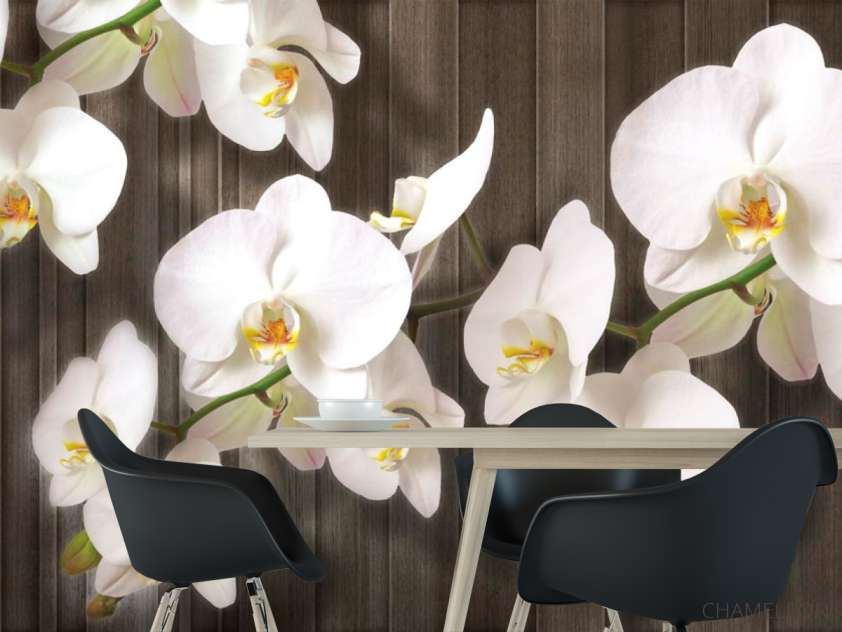 Фотошпалери Білі орхідеї на дереві - 1