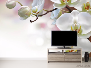 Фотообои Орхидеи - 2