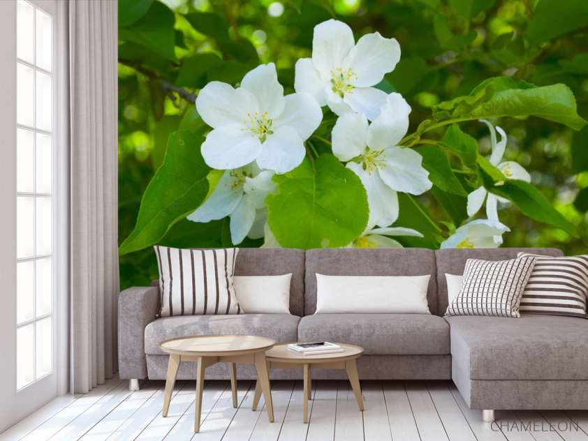 Фотообои Чубушник - 3