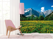 Фотошпалери Квітковий луг гори - 4