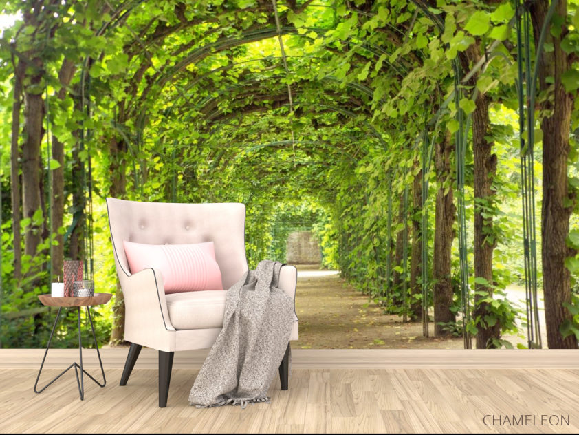 Фотообои зеленая арка - 4