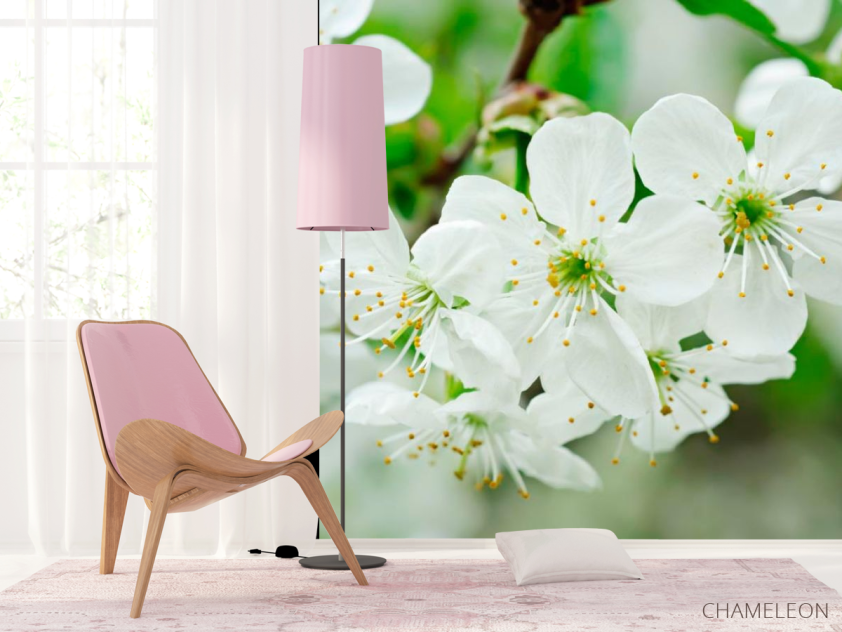 Фотошпалери Фотошпалери цвіте Черешня - 4