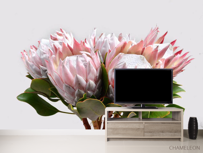 Фотообои Букет экзотика - 2