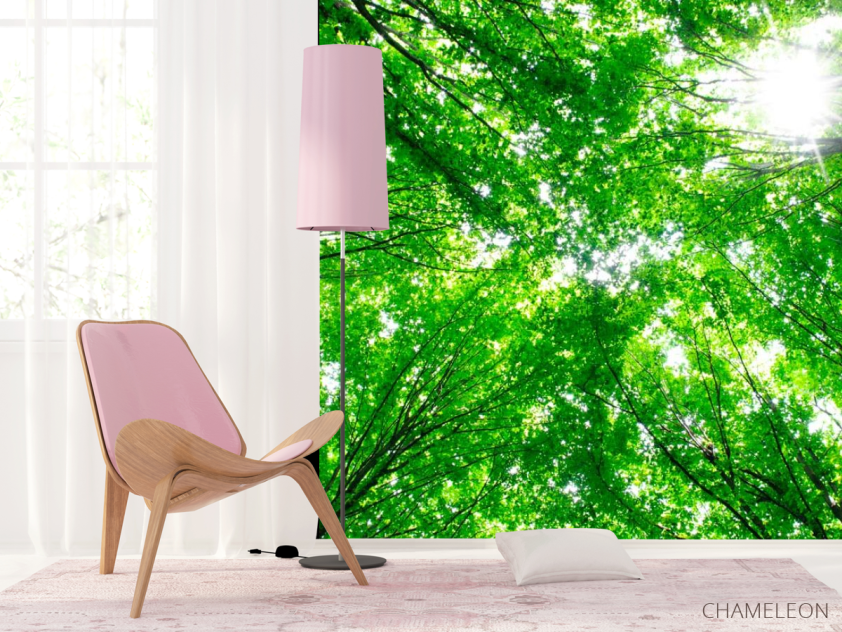 Фотошпалери Дерева, світло - 4