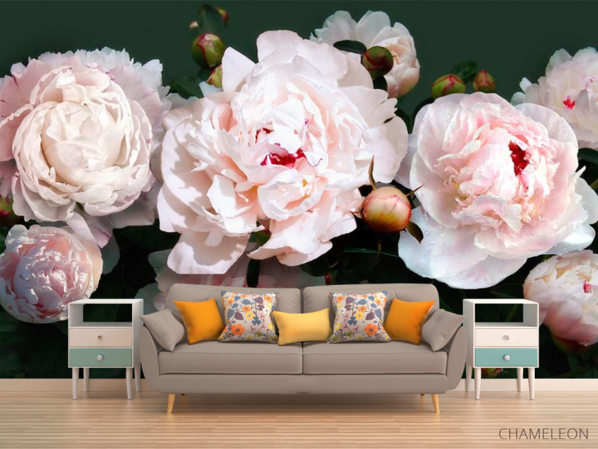 Фотообои Пионы - 1