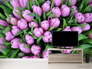 Фотообои Букет фиолетовых тюльпанов - 2