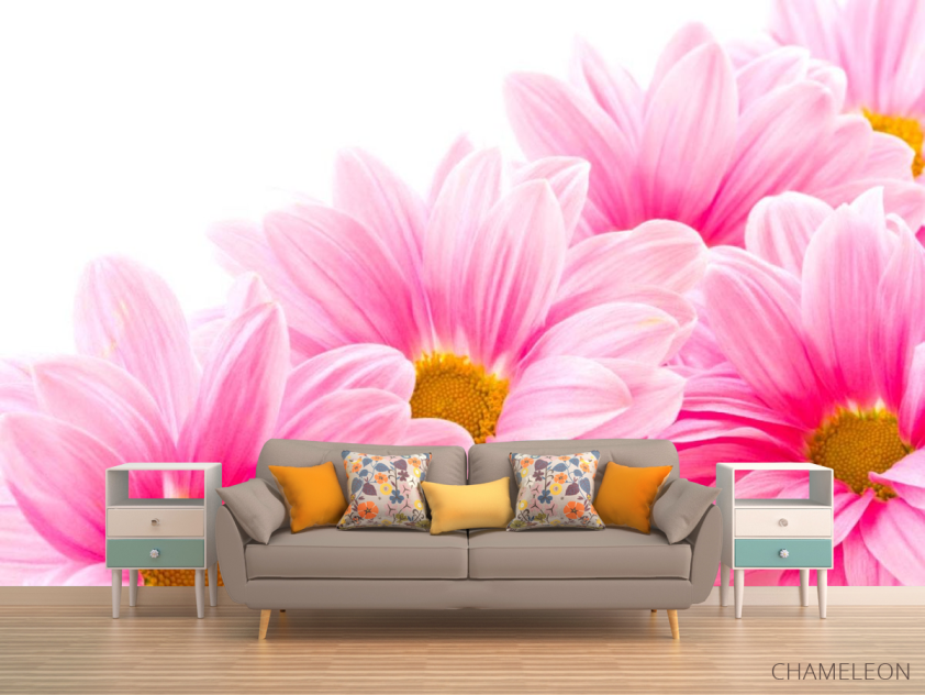 Фотообои Ромашки розовые - 1