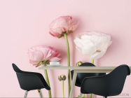 Фотошпалери Мінімалістичні рунункюлюсы - 1